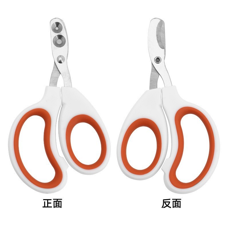 Orange à double trou