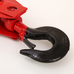 บล็อกรอกสแน็ทช์แบบมัดคู่5 10 20ตันพร้อมตลับลูกปืนแบบใหม่พร้อมตะขอ - Product Image 6