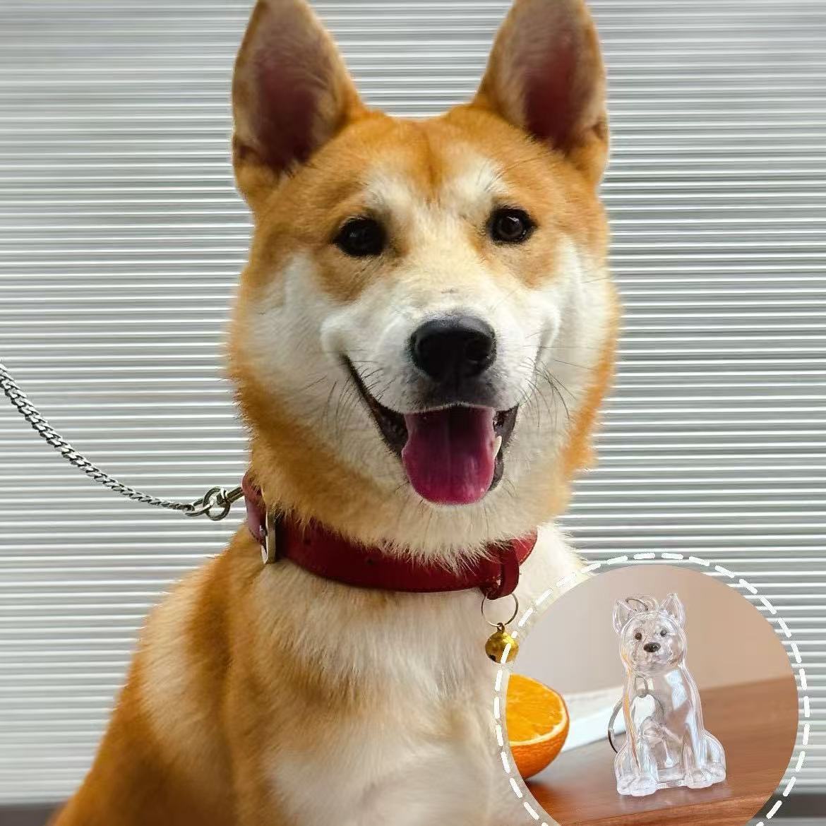 Aumentar el número de puntos de venta sin perros chinos.