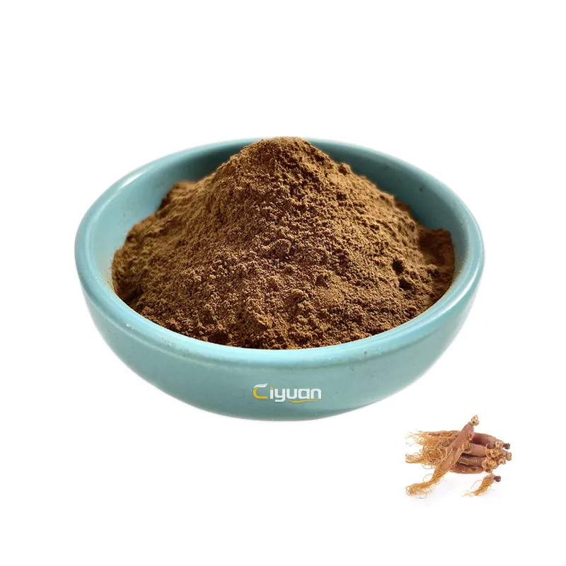 Ciyuan Factory Supplier Wholesale Price Korean Red Ginseng Extract Powder