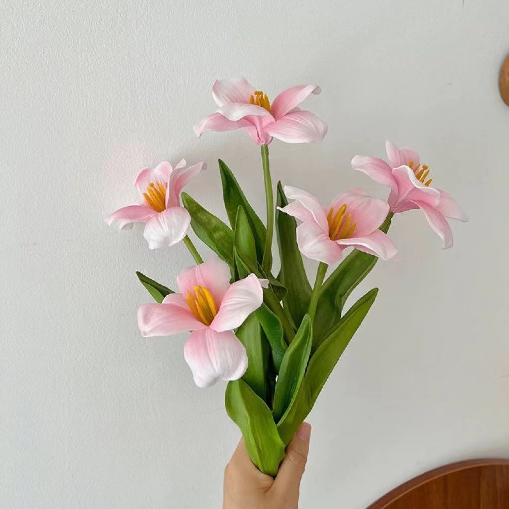 Tulipe en fleurs rose lait 5