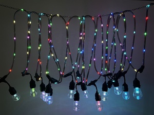 48FT RGB <strong>String</strong> <strong>Lights</strong> with Rope Fairy <strong>Color</strong> Changing with Remote Shatterproof Edison Bulb <strong>String</strong> <strong>Lights</strong> for Garden Christmas - Product Image 3