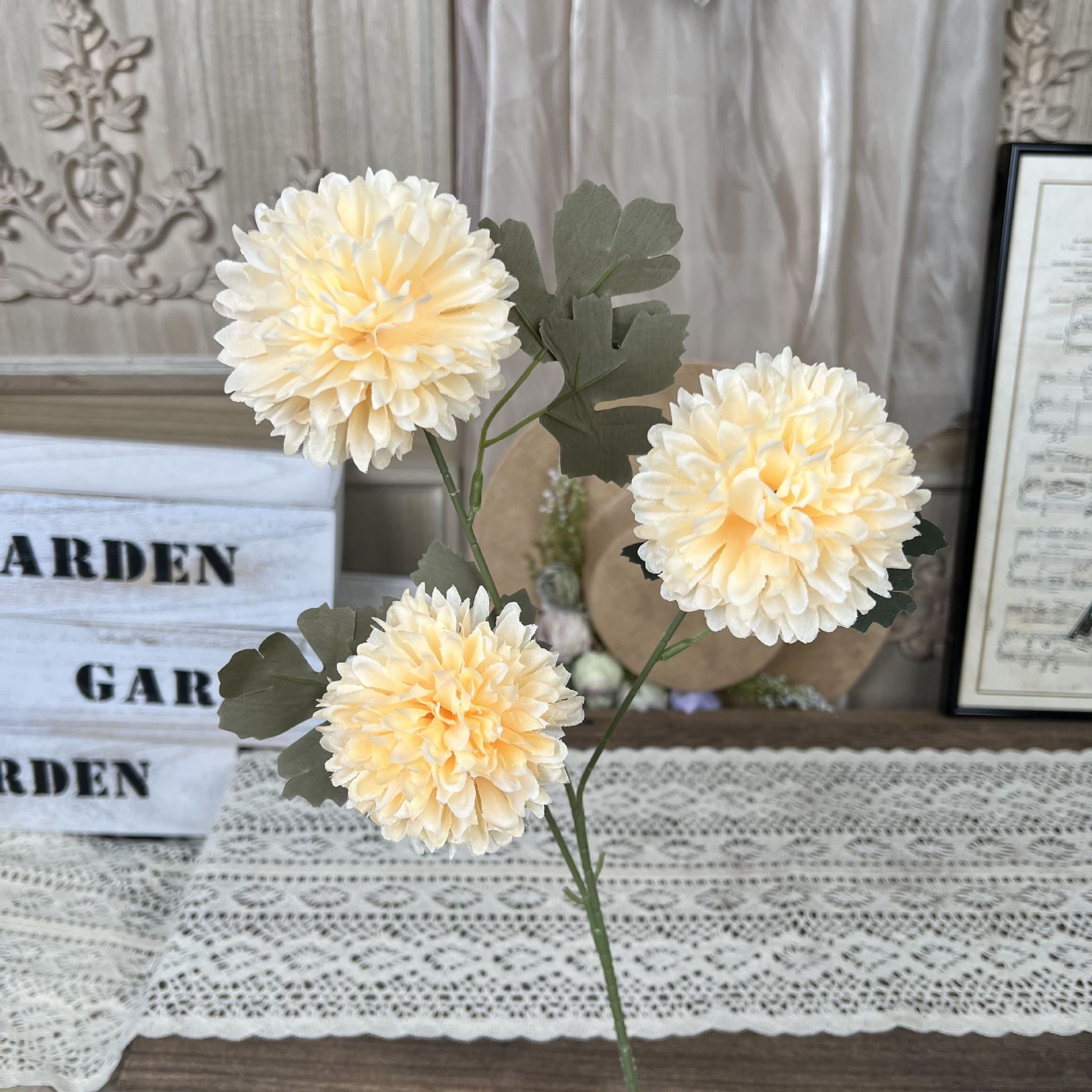 TY-3 Head Ping Pong Chrysanthemum-Champagne