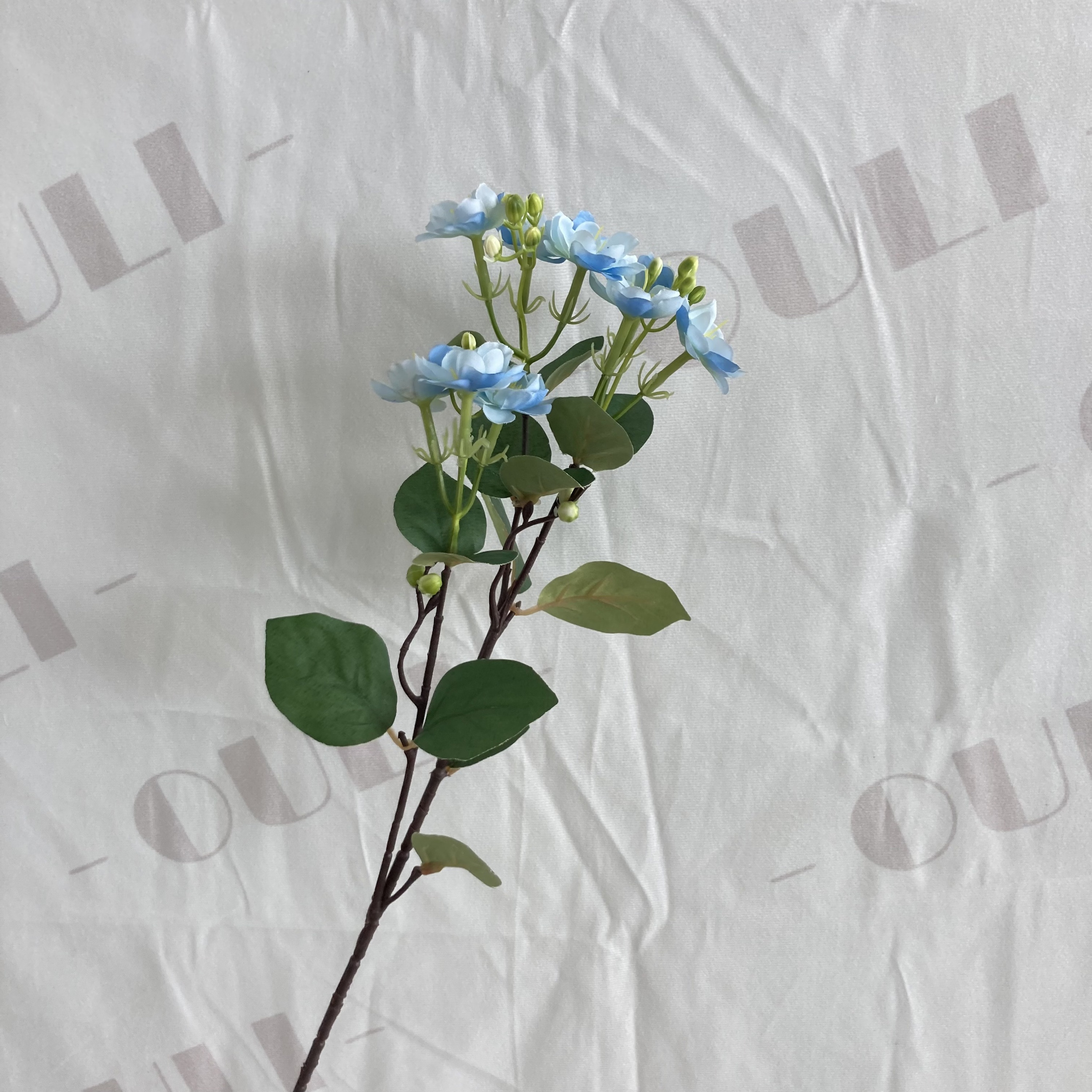 Bleu clair