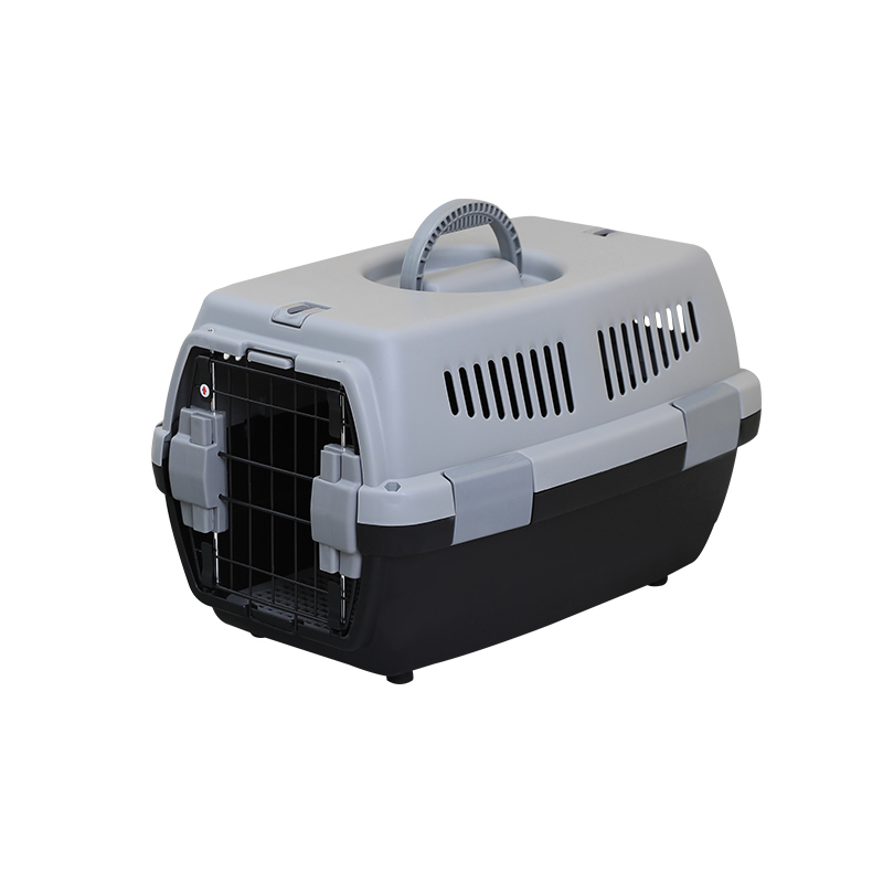 Gris