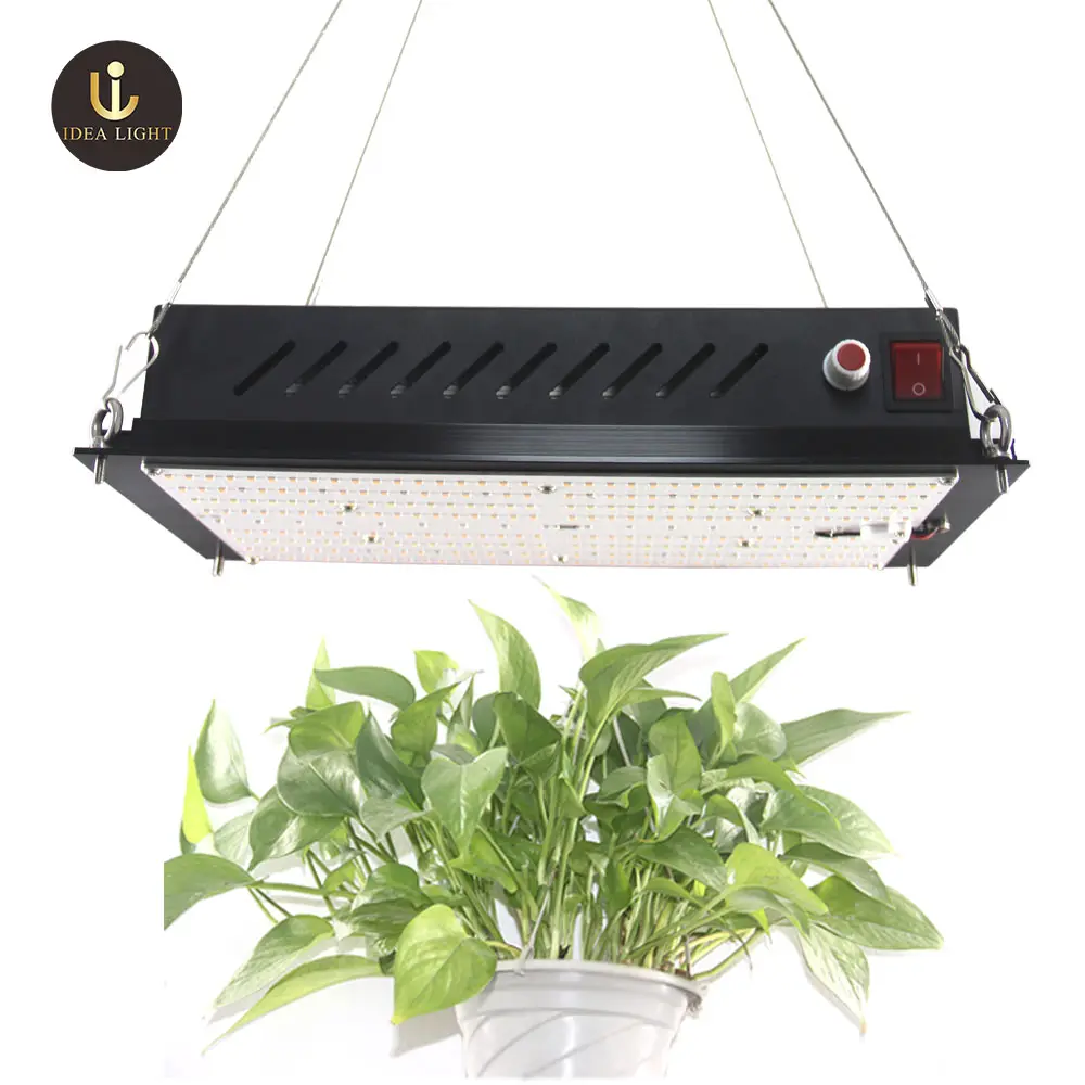 Wholesale Lm301h Led Grow Lights for Medicine Growth with High Ppfd Led Plants Lamps 288 * LM301B Chip Samsung Warm White 3500K