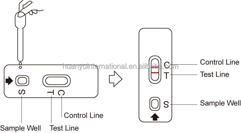 conjuntos de pruebas de brucelosis para perros
