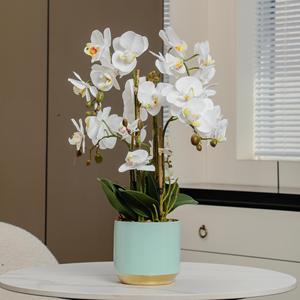 Lớn phalaenopsis Nhân Tạo Màu Vàng Đột Biến Hoa Cho Phòng Khách Trang Trí Nhà Máy Nồi Cho Lễ Tạ Ơn Giáng Sinh Halloween - Product Image 1