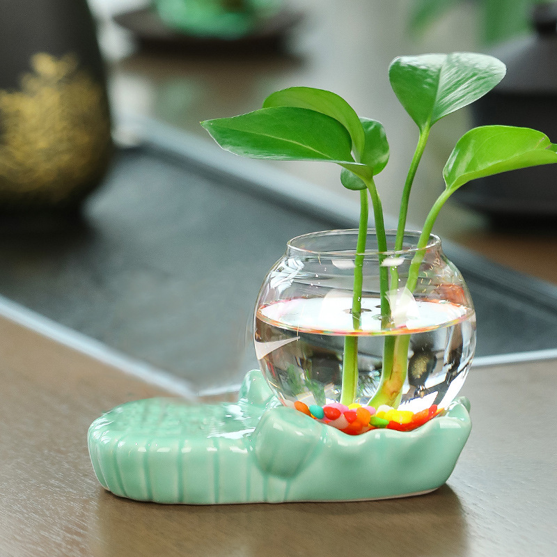 Ensemble hydroponique céladon