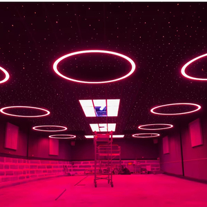 ไฟวงแหวนทรงกลม LED LC6080-1060สี RGBW คุณสมบัติเฉพาะรัศมีที่เป็นที่นิยมมากที่สุด - Product Image 5