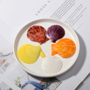 Doğal kabukları toplu DIY el sanatları deniz kabukları delikli - Product Image 3