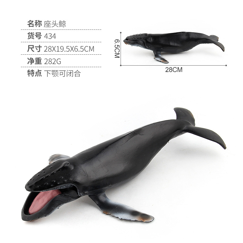 Humpback