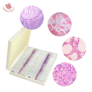 Mikroskop slide 100 Item standar Universitas pra-dokter Set <span class=keywords><strong>Slides</strong></span> disiapkan inovasi manusia FRT2002 - Product Image 3