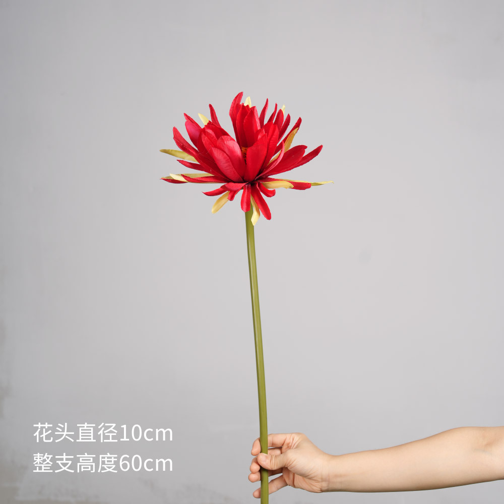 Epiphyllum - Rojo