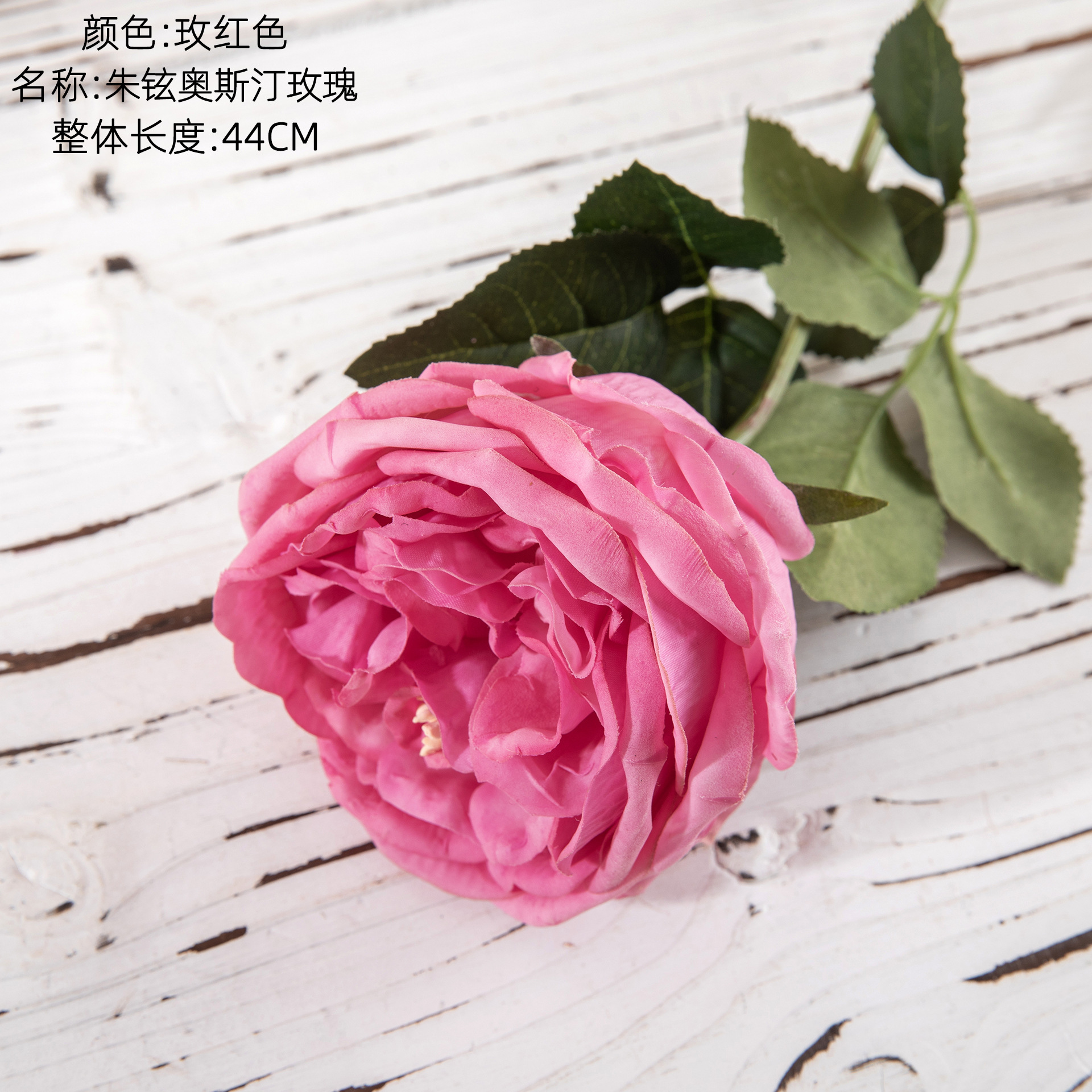Rose red