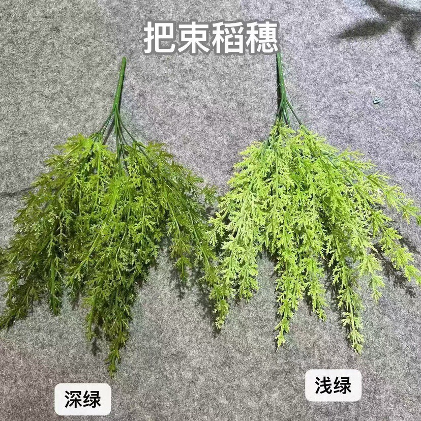 Bouquets vert foncé d'épis de riz