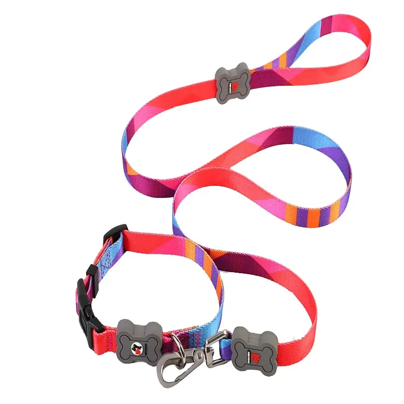 Collier et laisse personnalisés pour chiens, en Nylon, antidérapant, laisse avec motif personnalisé, Kit en PVC antidérapant, tendance, coloré et tressé, à la mode