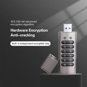USB 2.0 Flash Drive elegante in lega di zinco e tastiera sigillata 128GB digitale criptato Storage Pendrive con crittografia 128 capacità GB - Product Image 4