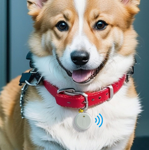 アンチロスデバイス犬用トラッカー予約トラッカー人工首輪航空タグペットGPSアンチロスデバイス - Product Image 6
