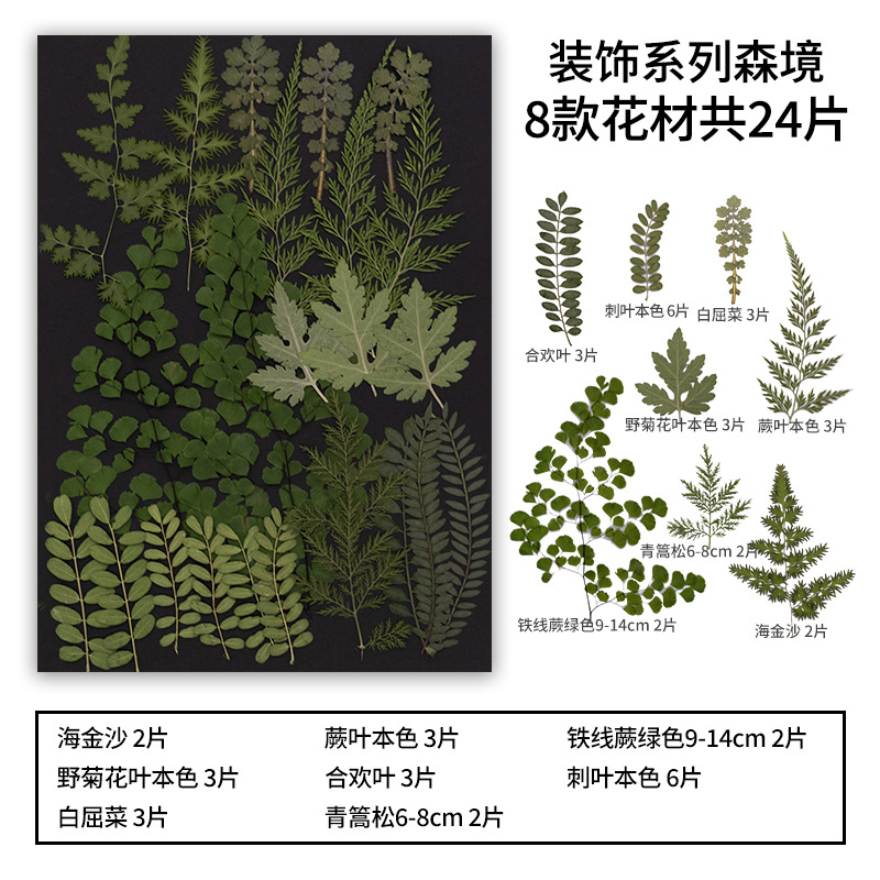 Bosque MH575-5 24 unids/bolsa