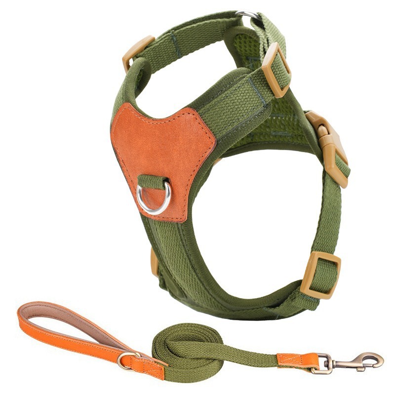 (Corde en cuir véritable) Ensemble : Vert