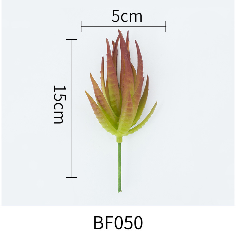 BF050