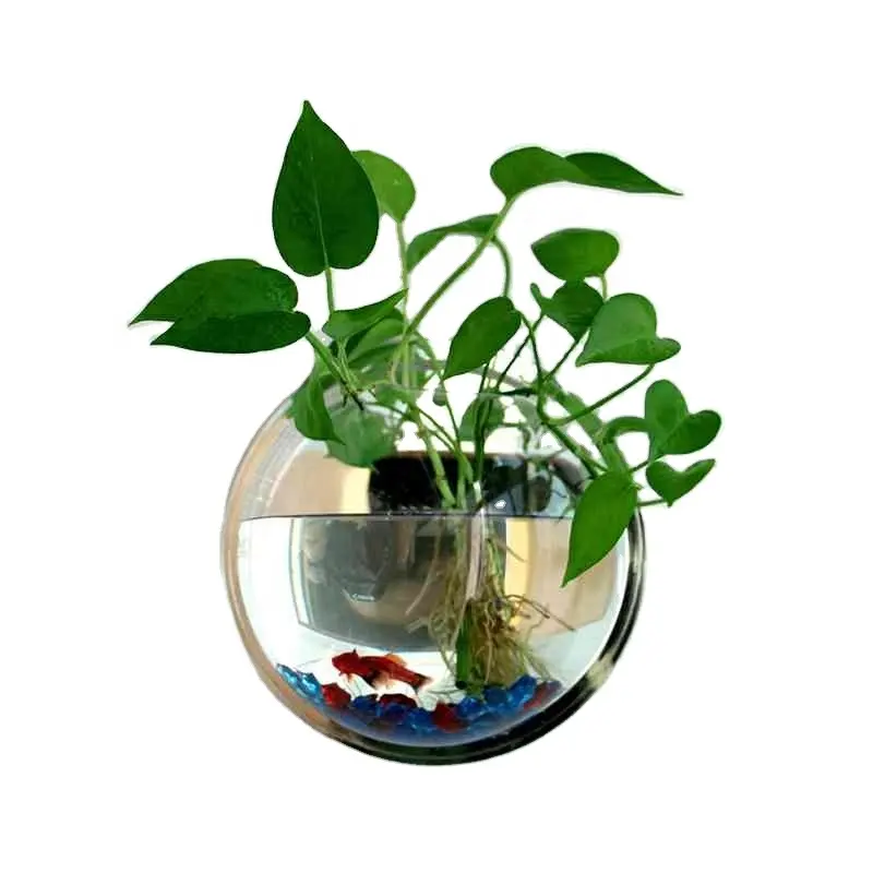 Home Decoration Acrylic Round Wall Mount Fish Bowl Flower Vase