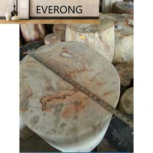 Haute valeur pour la collection Pierre décorative naturelle de luxe Bois fossilisé pétrifié - Product Image 5