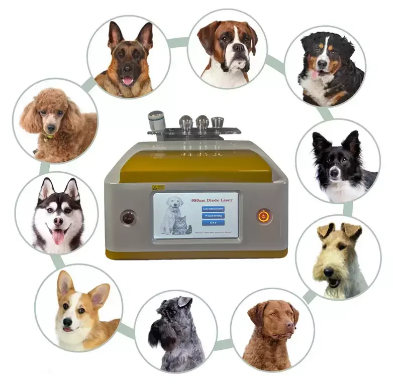 Nova terapia veterinária laser alta potência dispositivo de terapia a laser para gato cão cavalo coelho pet equipamentos médicos