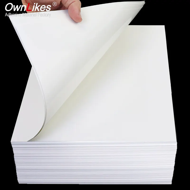 Hoja de papel de calcomanía mate brillante autoadhesiva impermeable de PP imprimible 2024 para impresora láser de inyección de tinta papel adhesivo de etiqueta de vinilo A4