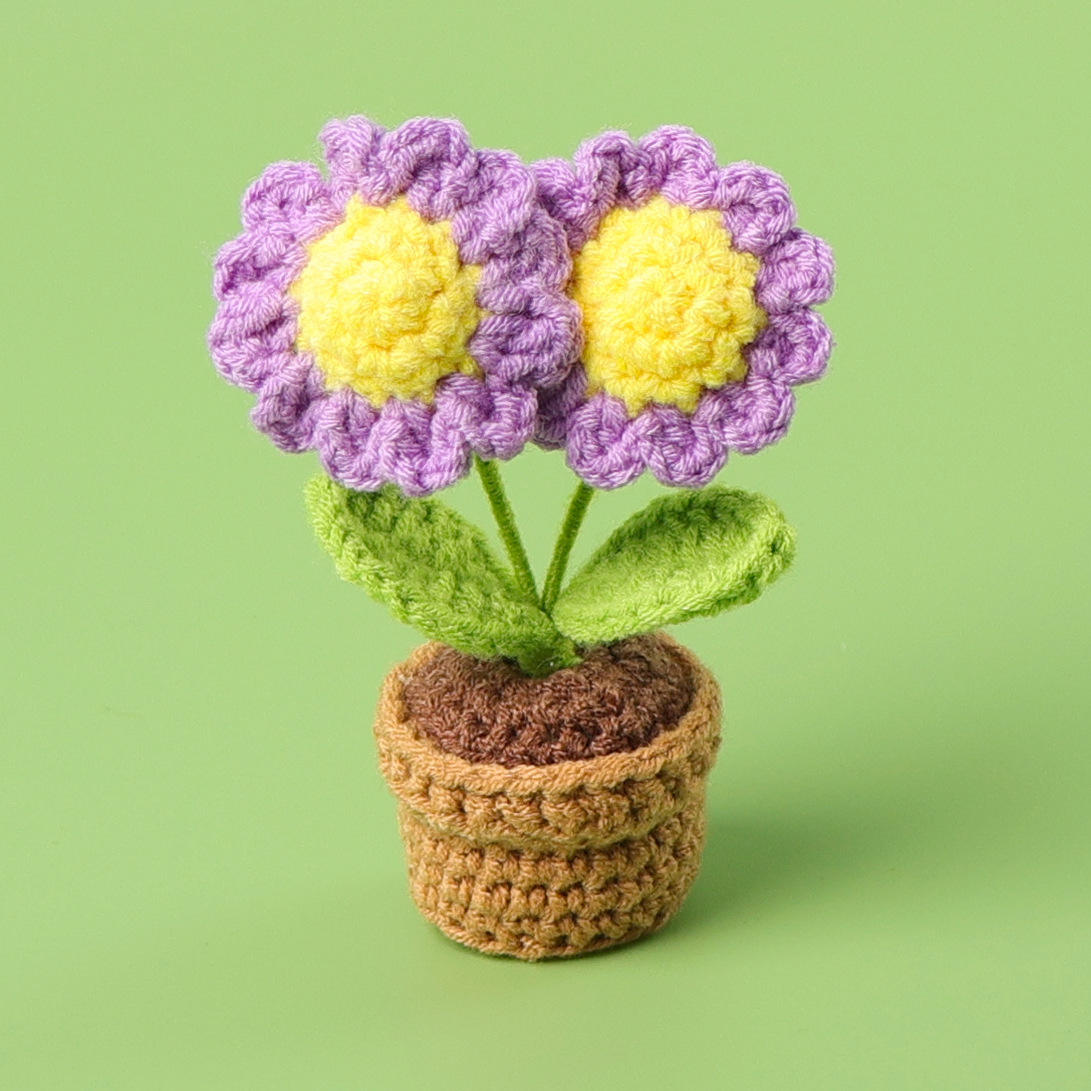 Plante en pot de marguerite violette à deux têtes