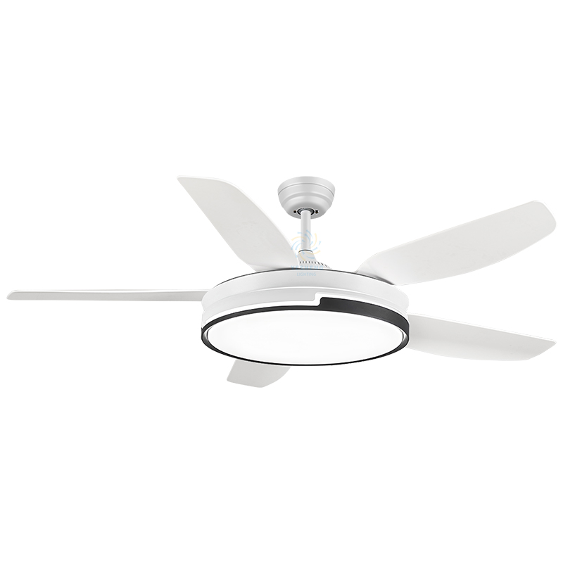 48นิ้ว-บูม