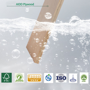 Gỗ dán Bạch Dương chất lượng xây dựng Poplar E1 tiêu chuẩn độ dày khác nhau 9mm 12mm 15mm 18mm biển ván ép tấm 4x8 - Product Image 3