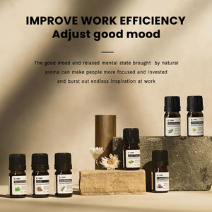 Özel etiket 10/20ml 100% saf doğal okaliptüs nane çay ağacı biberiye özü yağı takım aromaterapi difüzör hediye seti - Product Image 6