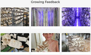 Tự động kiểm soát khí hậu đơn vị rơm Nấm trang trại container trong nhà thủy canh container trang trại - Product Image 6