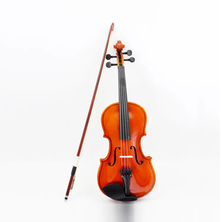 Violín de tamaño completo para adultos, juego de Violín con funda dura, reposabrazos, colofonia, dos lazos, sintonizador de Clip y cuerdas Extra, 4/4