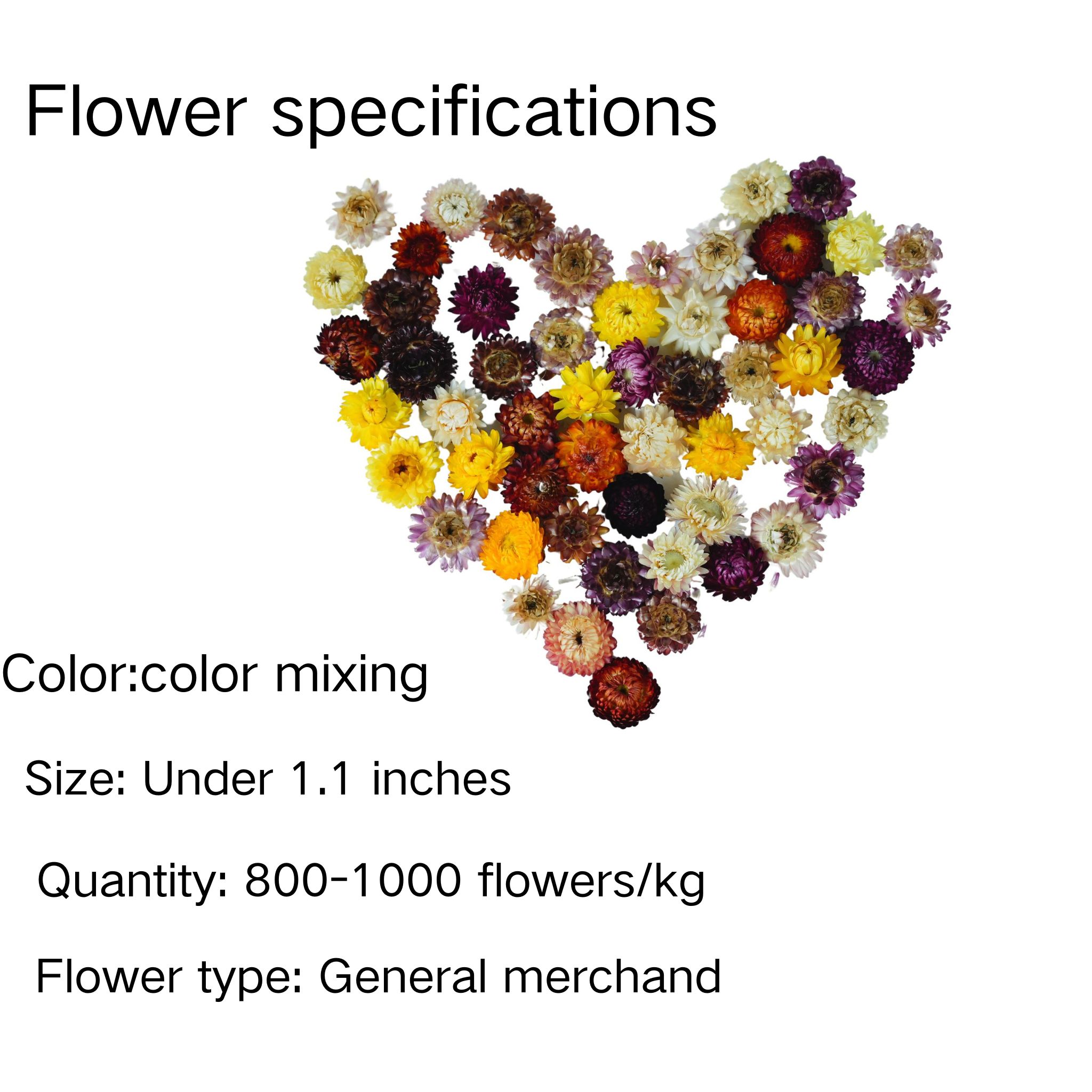 Couleur mélangée (1800-2100 fleurs/kg)