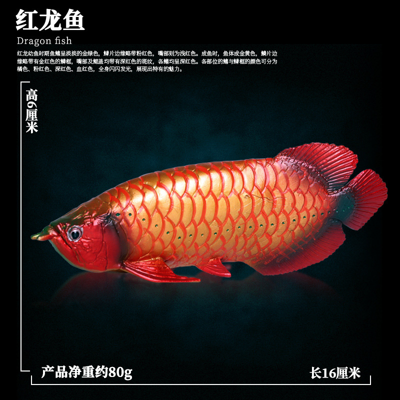 M-1118 Rouge Arowana