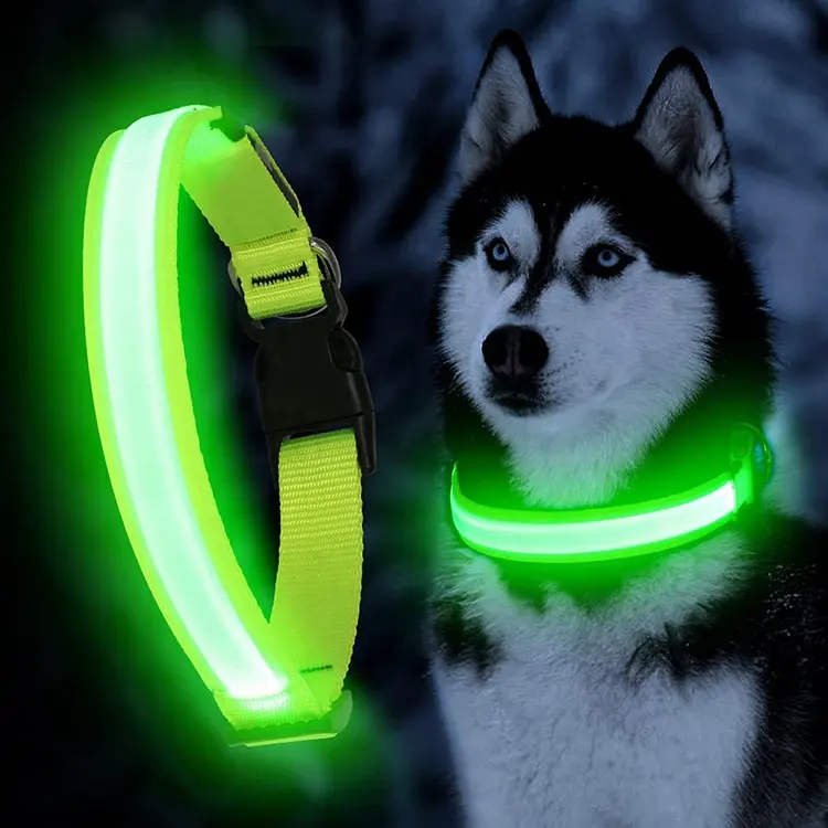 Collare per cani di piccola taglia di taglia media di sicurezza ad alta visibilità impermeabile regolabile USB ricaricabile lampeggiante con luce incandescente