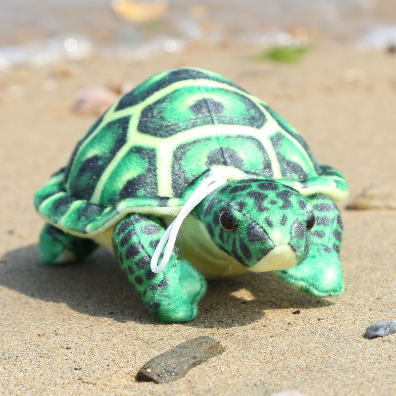 Tortuga verde simulada - 20 cm - 65 g