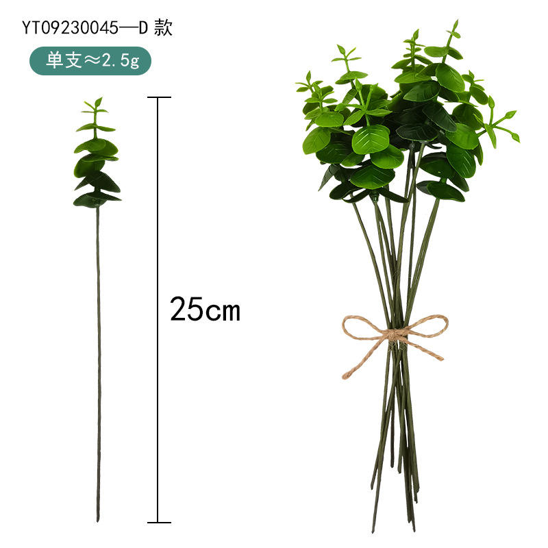 รุ่น D (ยูคาลิปตัสเดี่ยว)