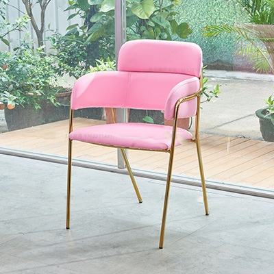 Cuero Rosa + Marco de silla de acero inoxidable