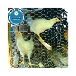 Bwg21X3/4 "ha galvanizzato il rotolo esagonale del recinto della rete metallica del pollo della rete metallica per la rete del pollame - Product Image 1