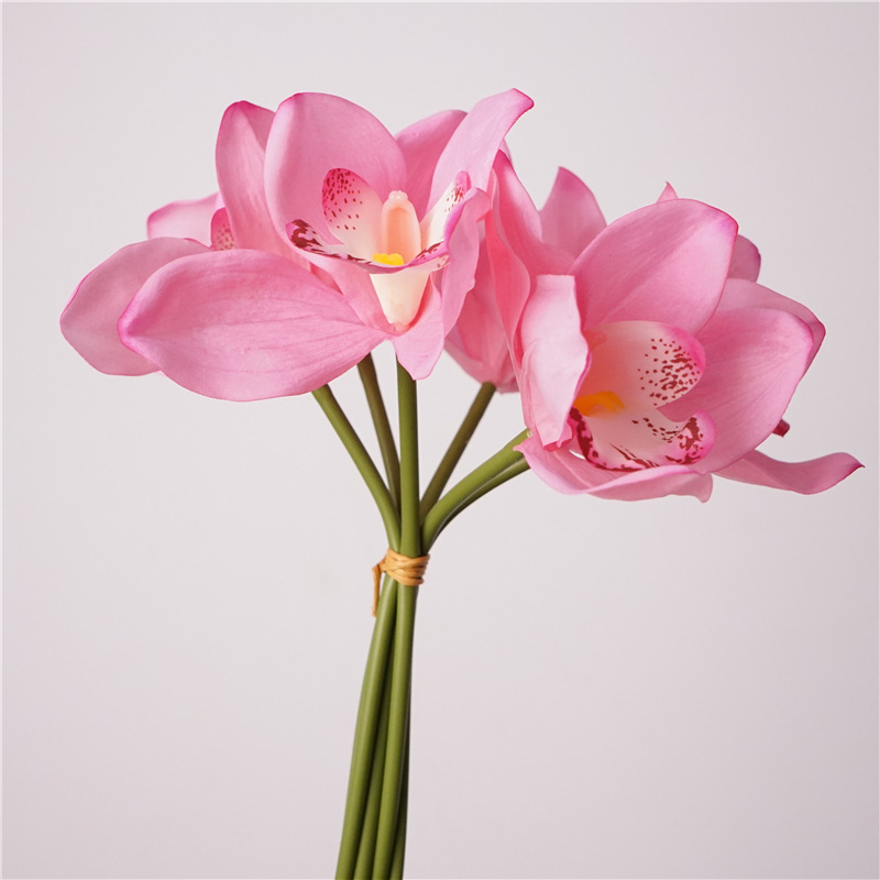 rosa2