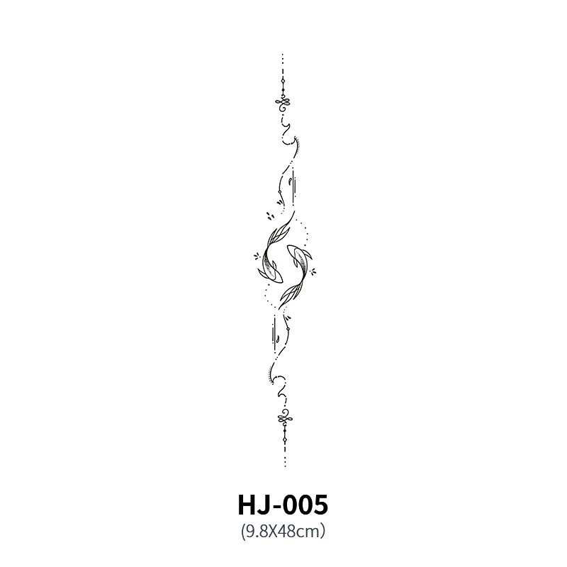 HJ005