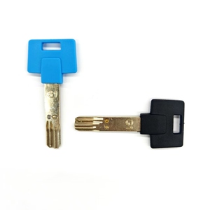 OEM ODM interaktif anahtar boş GBS kesilmemiş tuşları artı yüksek güvenlik MLT profil 115 206S 236 264 248 özelleştirmek klav Cerradura - Product Image 5