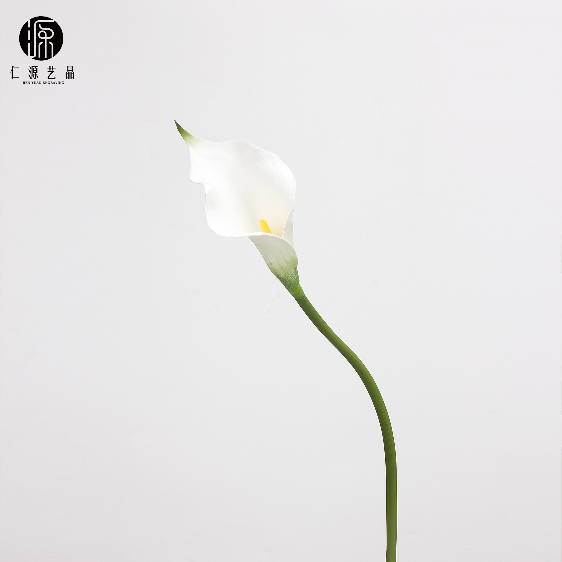 White small size