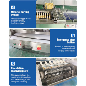 <strong>Automated</strong> Chicken Egg Pack <strong>Machine</strong> Egg Packer Egg <strong>Sorting</strong> and Pack <strong>Machine</strong> for Sale - Product Image 3