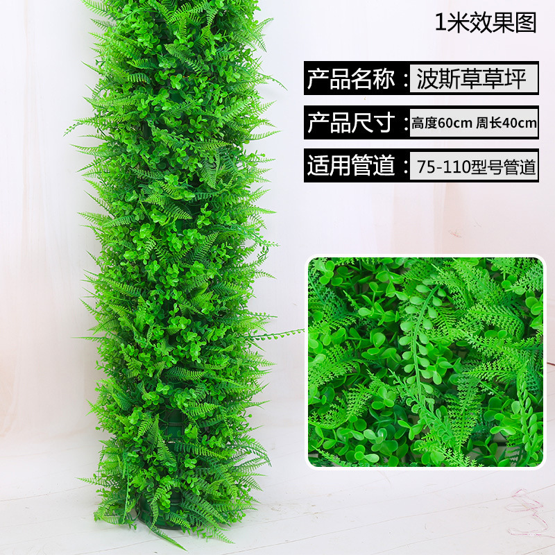 Pelouse d'herbe persane (60 cm de haut, 40 cm de large)