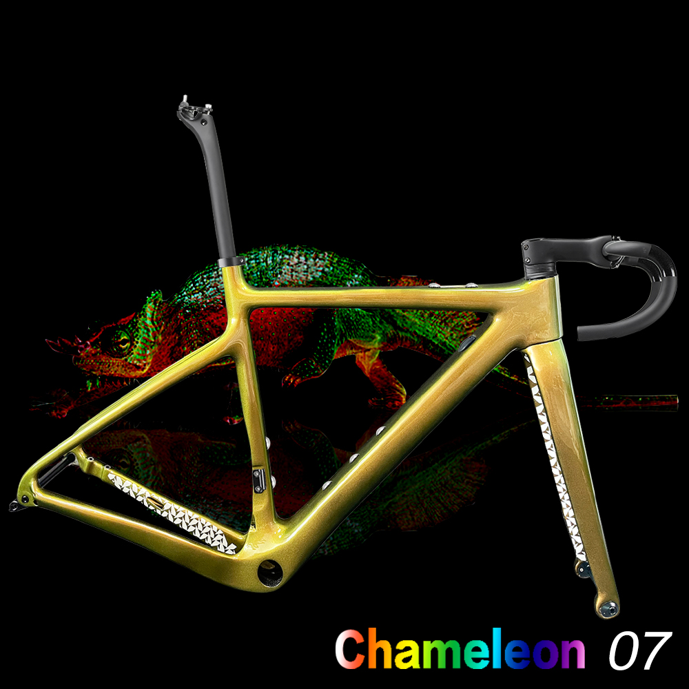 Caméléon 07